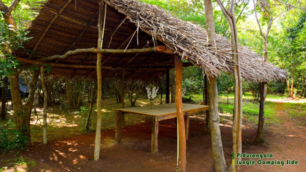 Sigiri Jungle Camping Hotell Sigiriya Exteriör bild