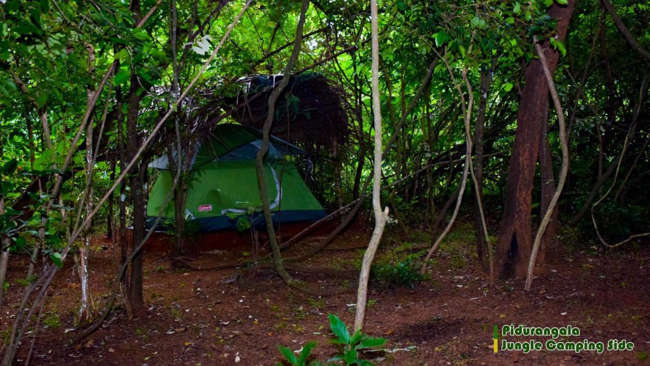 Sigiri Jungle Camping Hotell Sigiriya Exteriör bild